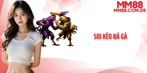 Soi kèo đá gà